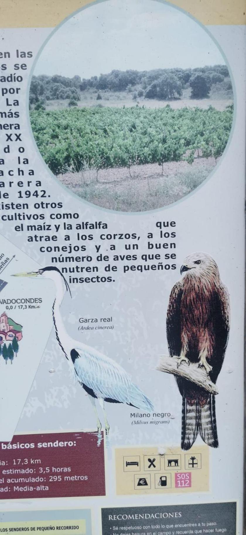 De Artistas Country house *